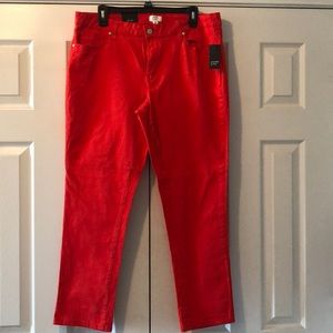 NWT Crown & Ivy Pants